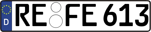 RE-FE613