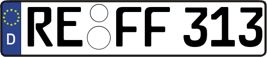 RE-FF313