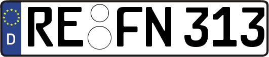 RE-FN313