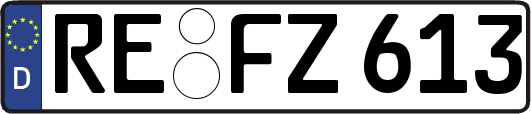 RE-FZ613