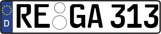 RE-GA313