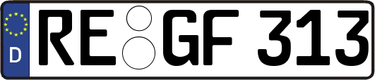 RE-GF313