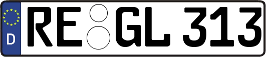RE-GL313