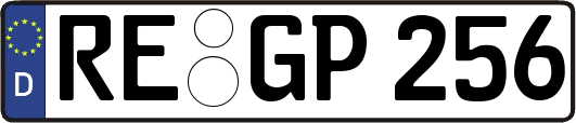 RE-GP256