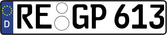 RE-GP613