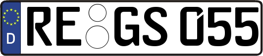RE-GS055