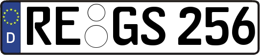RE-GS256