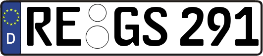 RE-GS291