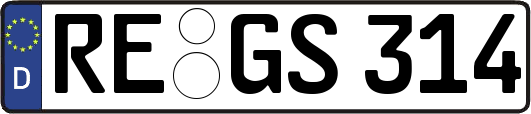 RE-GS314