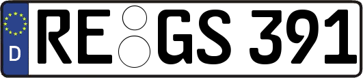 RE-GS391