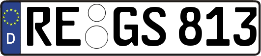 RE-GS813