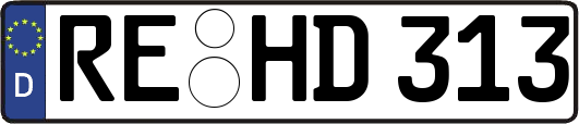 RE-HD313