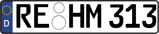 RE-HM313