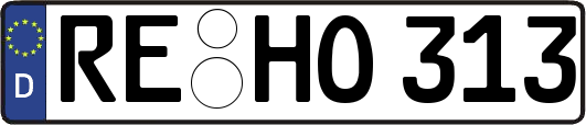 RE-HO313