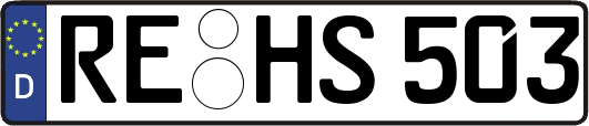 RE-HS503