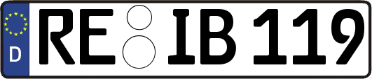 RE-IB119