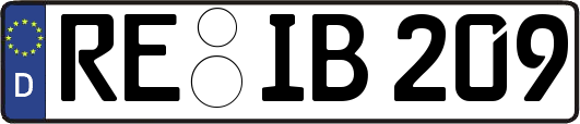 RE-IB209
