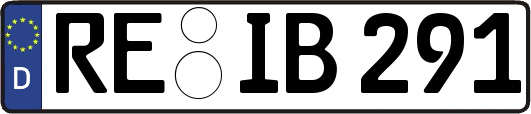 RE-IB291