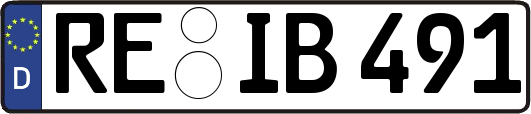 RE-IB491
