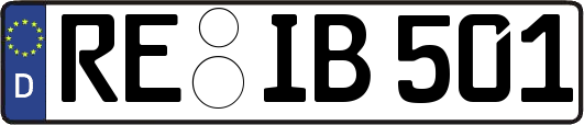 RE-IB501