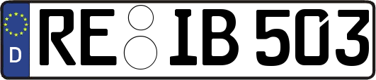 RE-IB503