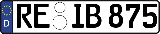 RE-IB875