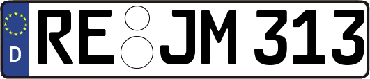RE-JM313