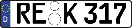 RE-K317
