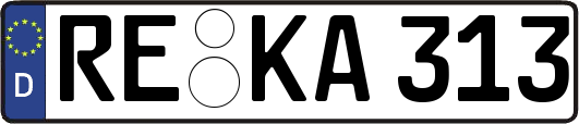 RE-KA313