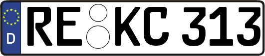 RE-KC313