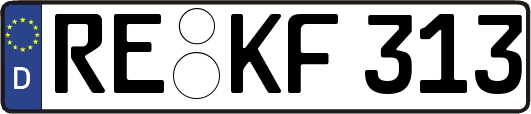 RE-KF313