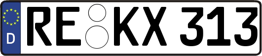 RE-KX313