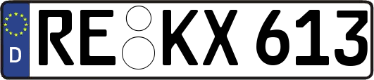 RE-KX613