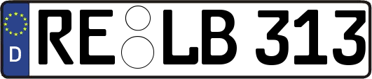 RE-LB313