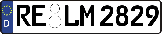 RE-LM2829