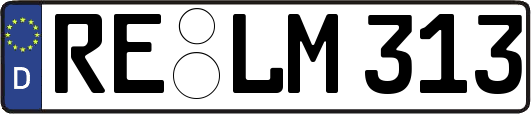 RE-LM313