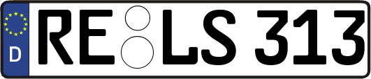 RE-LS313