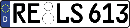 RE-LS613