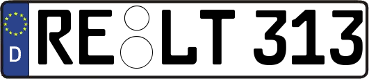 RE-LT313