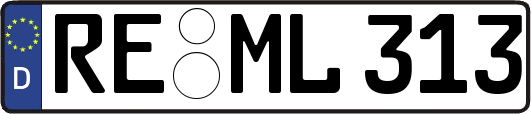 RE-ML313