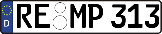 RE-MP313