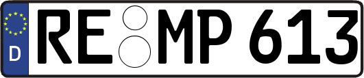 RE-MP613
