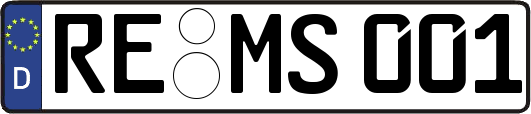 RE-MS001
