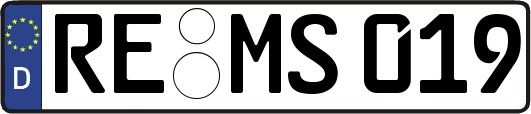 RE-MS019