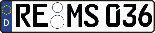 RE-MS036
