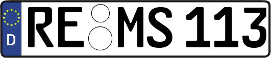 RE-MS113