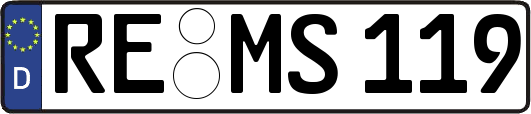RE-MS119