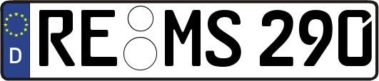 RE-MS290