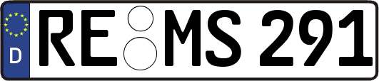 RE-MS291