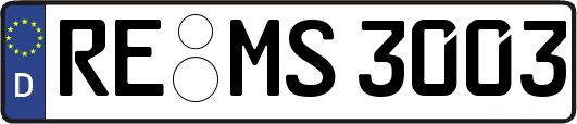 RE-MS3003